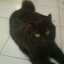 Ratiyah