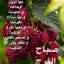 الفرس الاصيل