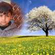 Rana Ahmad