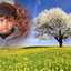 Rana Ahmad