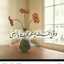ام عبود 😻