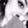 Lidia