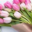 Shashi Singh