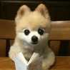 imShu