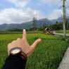 Henty Wahyuningsih Henty Wahyuningsih