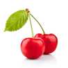 🍒Buni🍒 🍒Buni🍒