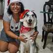 Geral Chou 