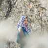 Fariza Dewi Anggraeni