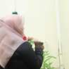 Afifah Ikhwana S.H.