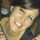 Meli Rittatore Meli Rittatore