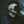 norh