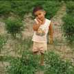 Sanjna