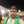 Sakthi
