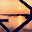 🦋توني 🦋