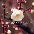 Arwa Ahmed