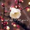 Arwa Ahmed