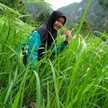 Ade Sri Wulan Dari