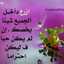 Zeinab Zein Al Dein