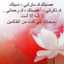 Hana Abdalla Fadlalla