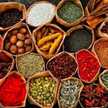 Cooking with. Sarwat Noor