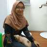 destanti