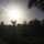 Heba 