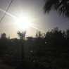 Heba 