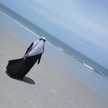 Mahani husen