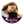 Rachna Anshuman Dubey (Vittlesmania)