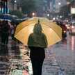 Rain (Pratiwi)