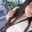 agustina nieves
