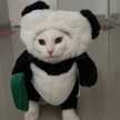 นวยจะเป็นใหญ่