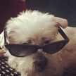 clarilde