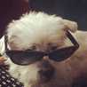 clarilde