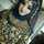 Farheen Khan Farheen Khan