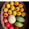 Health Through Food