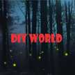 DIY WORLD