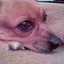 Mª Jose Rius