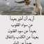 ام حسام