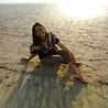 Dheena