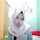 Widytan Widytan
