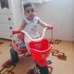 narges 