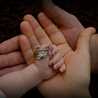 OM Meral
