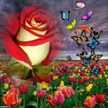 Doaa Shwiki