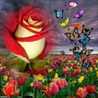 Doaa Shwiki