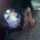 jimena
