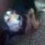 jimena