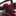 12__tulip 12__tulip
