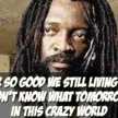 Demus Lynn