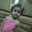 Doaa AL Bitar Doaa AL Bitar